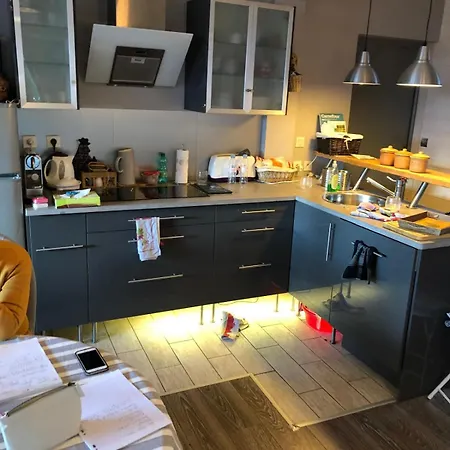 Apartment De Montagne, Charme Et Calme Au Pied Des Pistes Enchastrayes